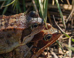Image by Lucas van Oort