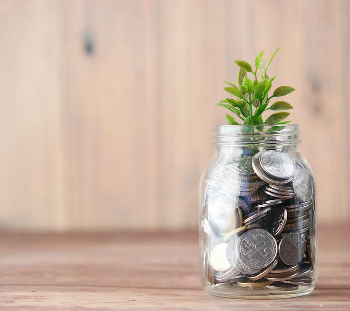 ib economics online